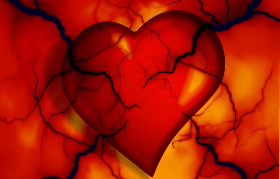 serce i układ krążenia